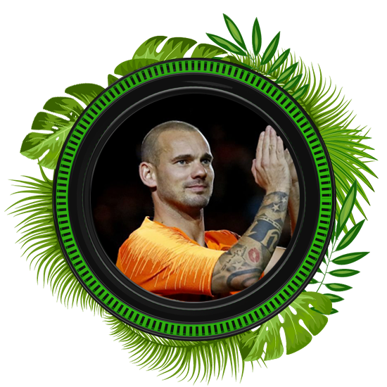 Wesley Sneijder